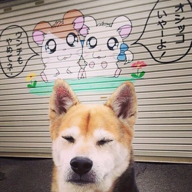 全国青少年篮球训练营发布训练课表与器械清单，青少年篮球培训学校