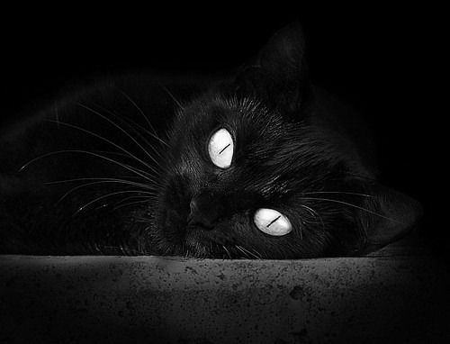 开云·体育全站登录地址-“新都兴城垒球：精彩瞬间不断，比赛白热化”