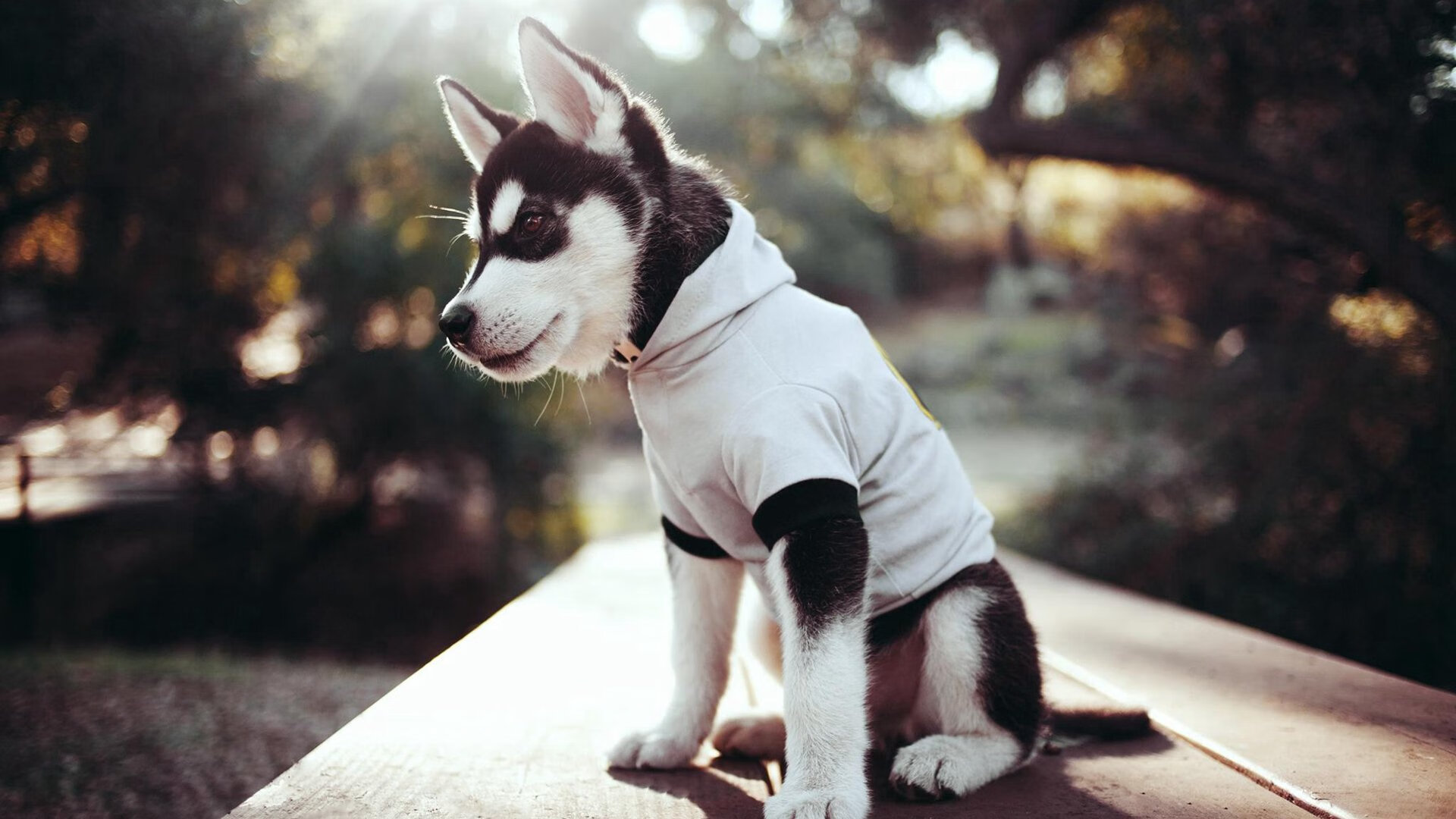 仰泳出水角度优化，助力提速，仰泳出发技巧